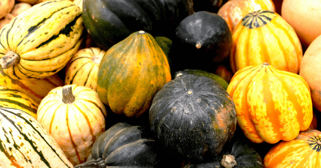 Acorn Squash