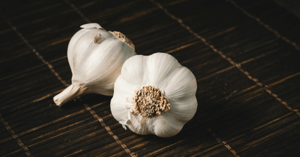 Garlic